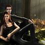 Twilight