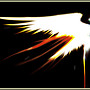 then fly on light