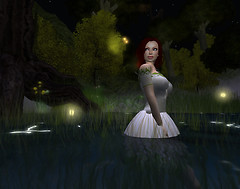 Midnight Summer's Dream