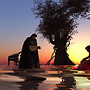 sweet music in the sunset