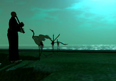 Dialogue with Cranes