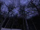 Darkness