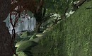 LOVERS FOREST1