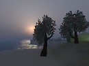 A Drowsy Evening 1