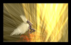 following the light