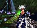 Queen of night