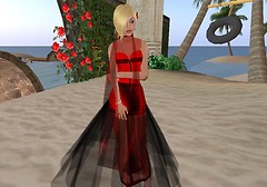 Soni's Sheer Evening Wear