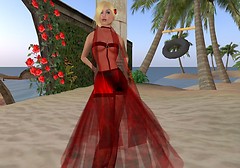 Soni's Sheer Evening Wear