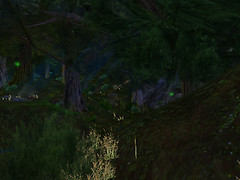 forestigen_013
