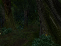 forestigen_012