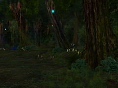 forestigen_011