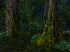 forestigen_009
