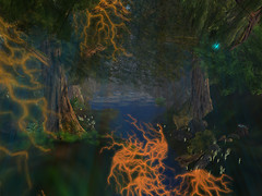 forest_007