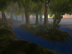 forest_005