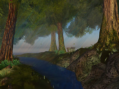 forest_004