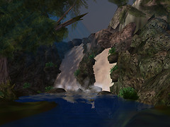 forest_002