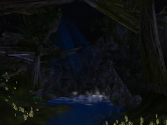 forest_001