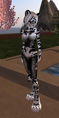 Koterie the Feline - Erika Wemyss