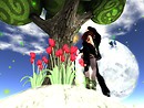 Snapshot_043