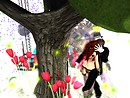 Snapshot_042