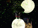 Snapshot_036