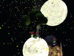 Snapshot_035