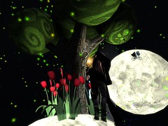 Snapshot_034