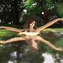 playing with the water