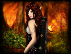 Chakryn