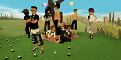 Picnic in IMVU