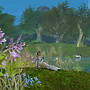 Just a peaceful day by the lake..