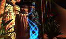 Snapshot_016