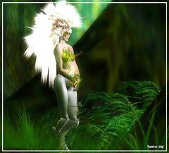 Deep in Chakryn Forest