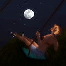 Fly me to the moon