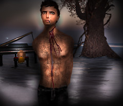 test20090820