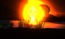 Snapshot_024