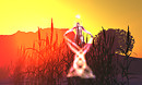 Snapshot_025