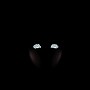 Are you afraid of me?