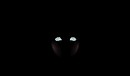 Are you afraid of me?