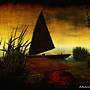 The Dock