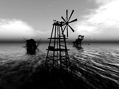 The dying Field