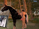 Second Life からのポストカード - teto Sosa