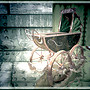 relic