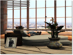 My Skybox Gallery (Under Construction)