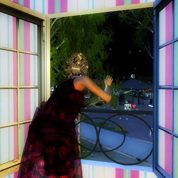 The Window 1