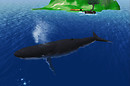 la ballena