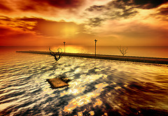 Golden dusk