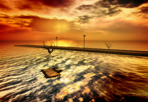 Golden dusk