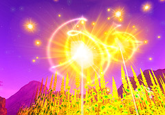 Growing miracles