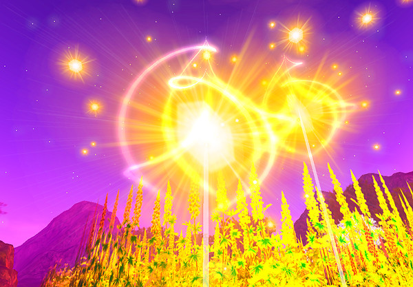Growing miracles